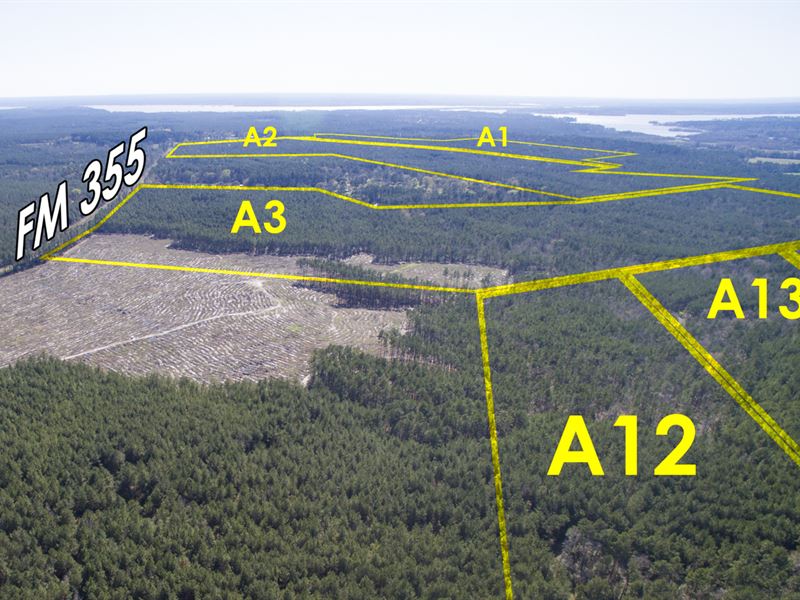 68 Ac FM 355 Brushy Creek TR A3-5 : Trinity : Trinity County : Texas