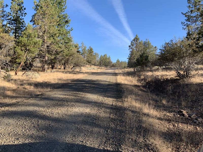 8 Acres Amazing View of The Stars : Bonanza : Klamath County : Oregon