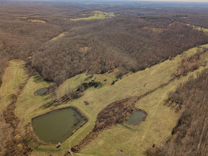Sargent 345 : Cabool : Texas County : Missouri