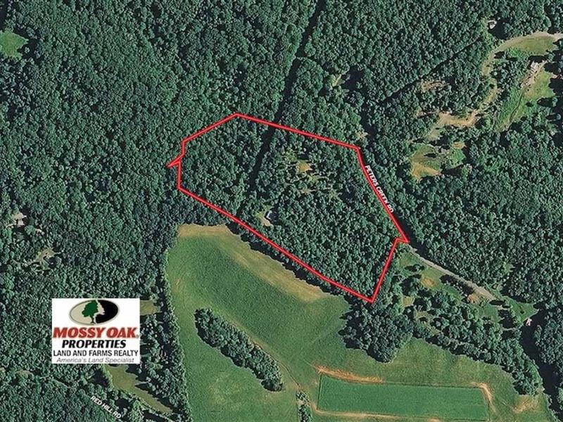 19.32 Acres of Res : Big Island : Bedford County : Virginia