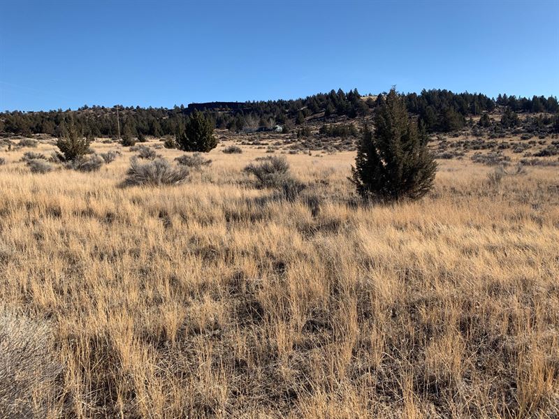 Cal Pines, Lake Unit 2, Buildable : Alturas : Modoc County : California