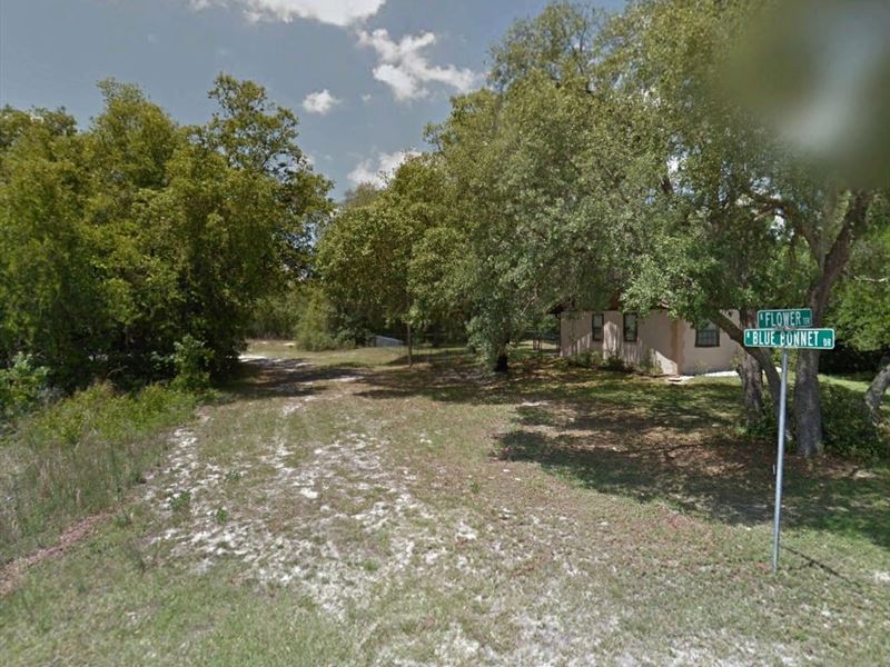 Ready-To-Build Lot, Financing Avail : Hernando : Citrus County : Florida