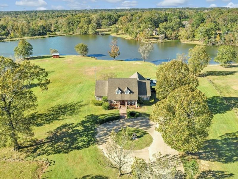 95 Acres Ranch/Land for Sale Amite : Centreville : Amite County : Mississippi
