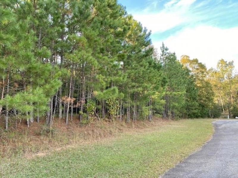 6.15 Acre Double Lot for Sale in Up : McComb : Pike County : Mississippi