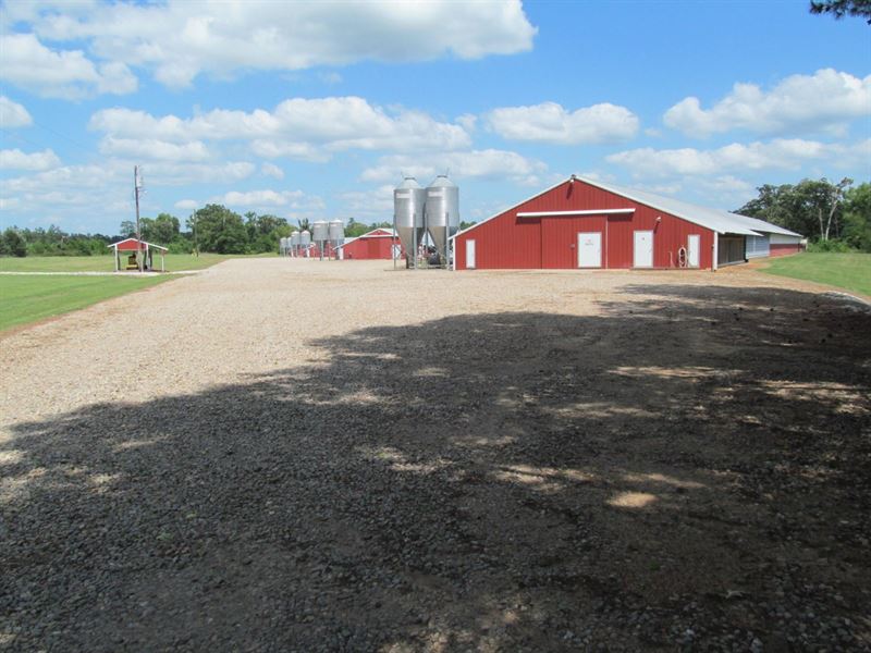 Poultry Farm, Country Home, 40 : Winnsboro : Wood County : Texas