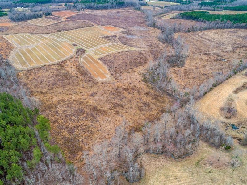Oak Hill Ranch in North Carolina : Oxford : Granville County : North Carolina