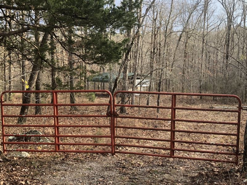 Hunting Land for Sale with Creek : Leslie : Searcy County : Arkansas