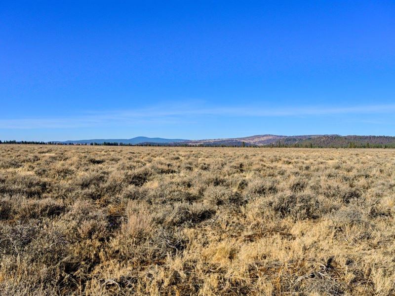 Vast 20.52 Acre in Oregon : Chiloquin : Klamath County : Oregon