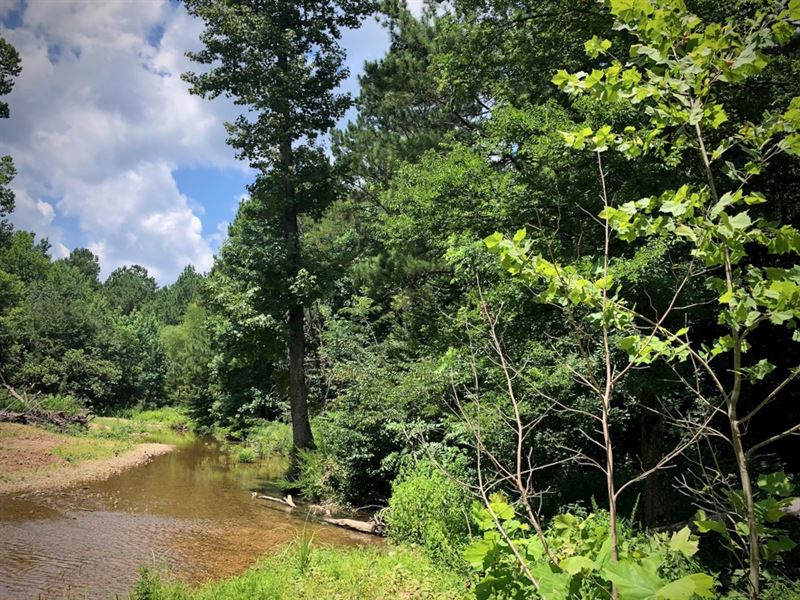 15 Acre Estate Home Site : Linden : Perry County : Tennessee