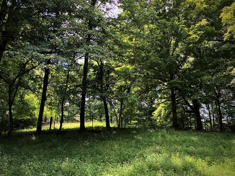 Lick Creek West Tract : Linden : Perry County : Tennessee