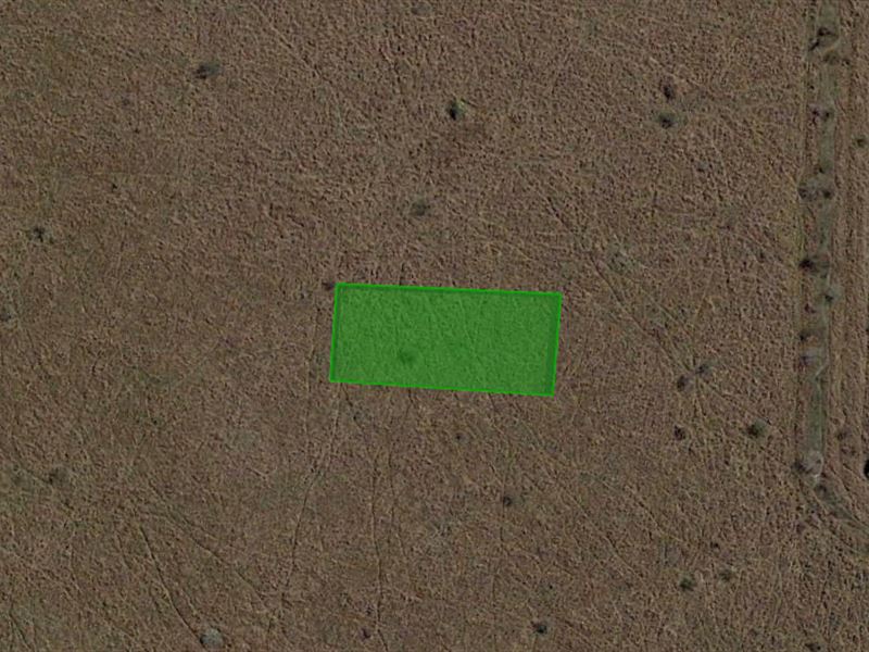 .20 Acre in Port Lavaca : Port Lavaca : Calhoun County : Texas
