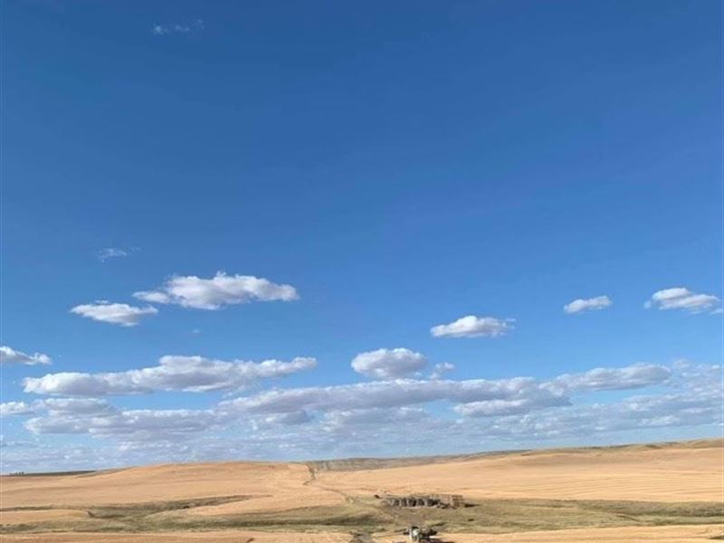 Central Montana Farm Land for Sale : Denton : Fergus County : Montana