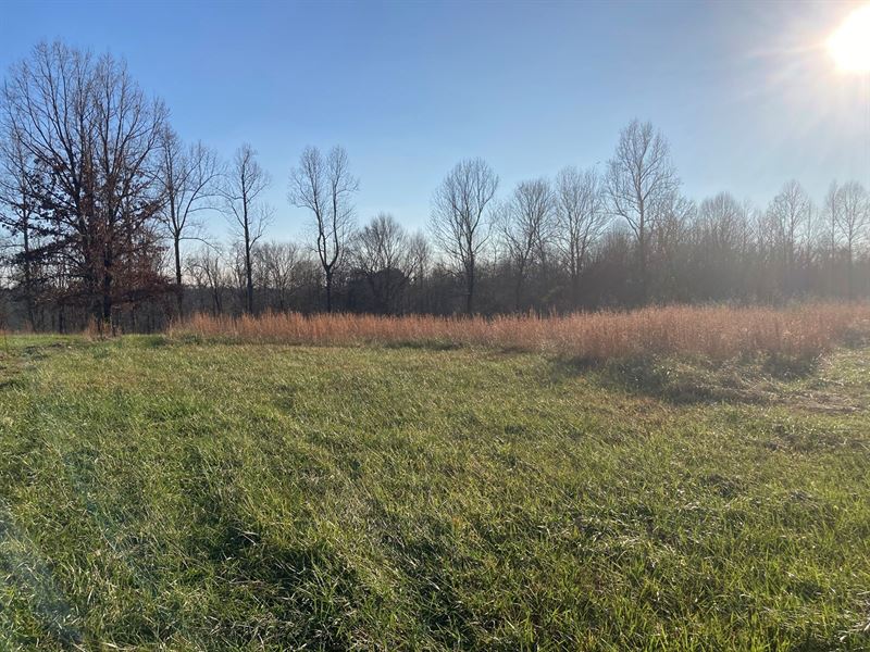 37 Acres-Hunting Property-Building : Liberty : Casey County : Kentucky