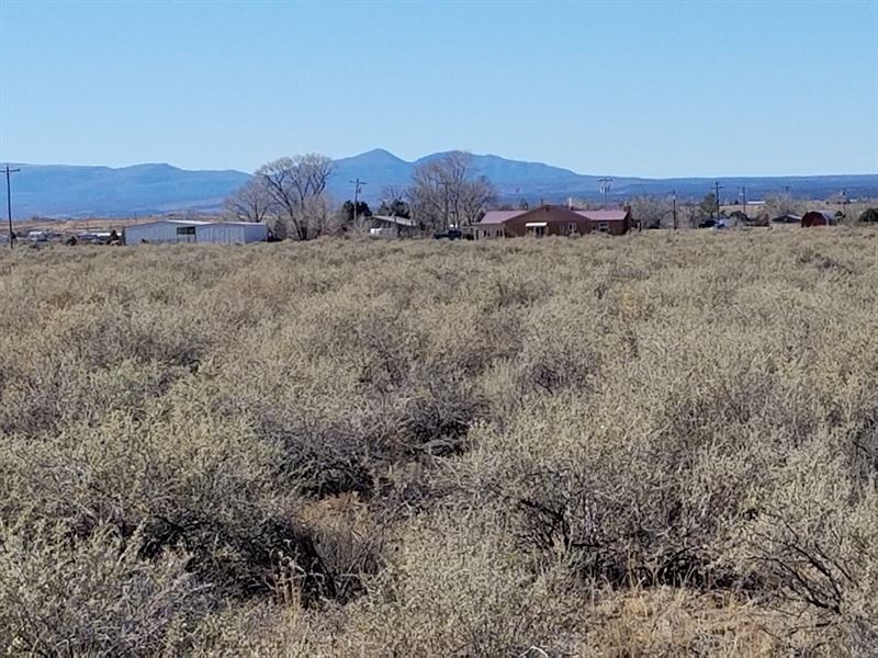 Ranchette Estancia Valley Country : Moriarty : Torrance County : New Mexico