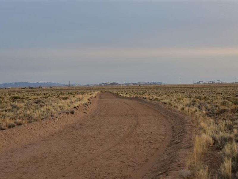 Own 5 Acres in The Heart of Souther : San Luis : Costilla County : Colorado