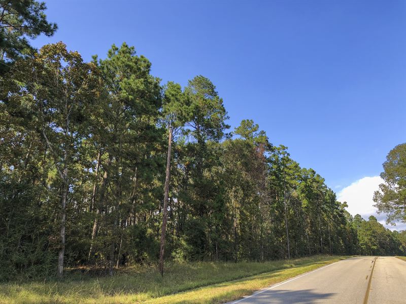 32 Ac Waterwood Estates Tr 6 : Huntsville : San Jacinto County : Texas