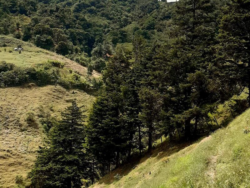 Mountain Home, 17 Acres, Waterfalls : El Guarco De Cartago : Costa Rica