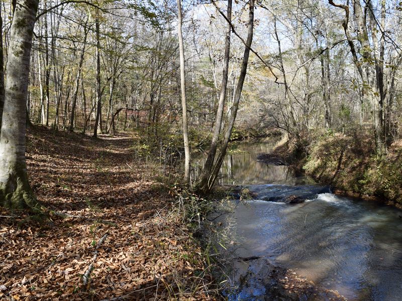 Echeconnee Creek White Oaks : Culloden : Monroe County : Georgia