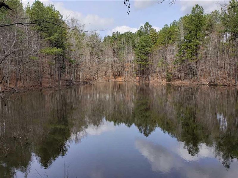 21 Acres in Smyrna, York County : Smyrna : York County : South Carolina
