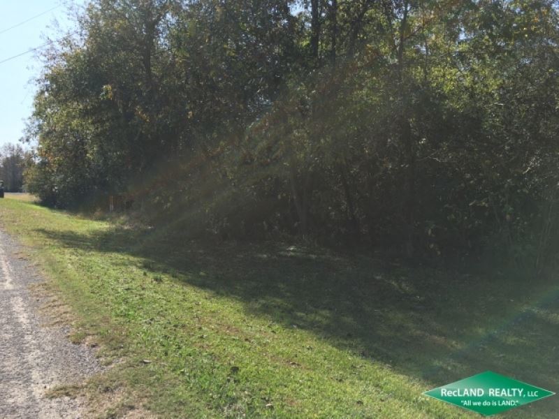 8 Ac, Wooded Tract Near Darnell : Darnell : West Carroll Parish : Louisiana