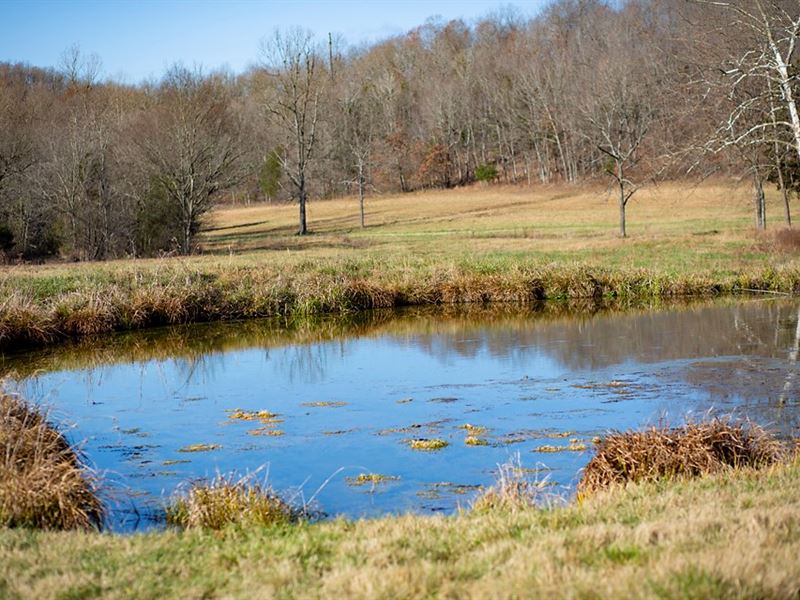 Land for Sale-Cattle Farm-Hunting : Pocahontas : Randolph County : Arkansas