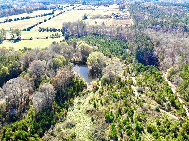 MiniFarm Aragon, GA Land for Sale in Aragon, Polk County,