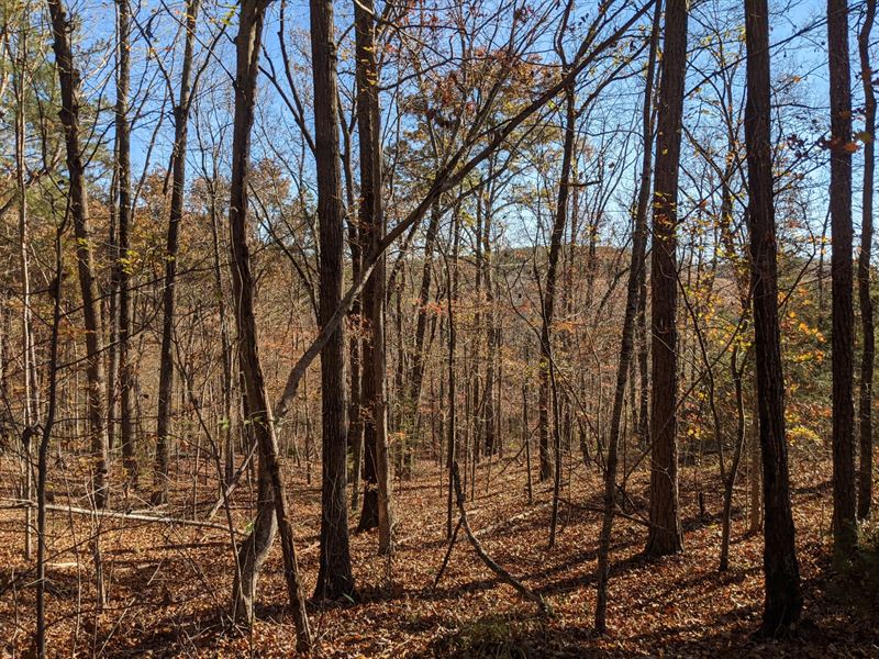 Investment and Rec Tract : Cave Spring : Floyd County : Georgia