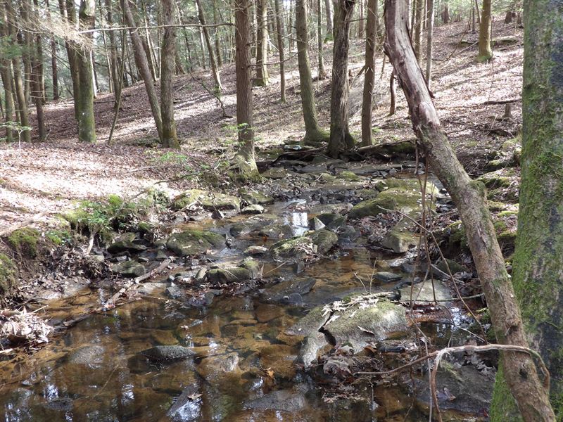 Creek ,Level, Public Water : Pikeville : Bledsoe County : Tennessee
