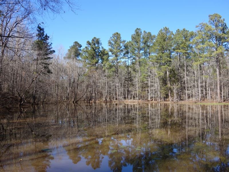 Pond, Pond House, Land : Ridgeway : Fairfield County : South Carolina