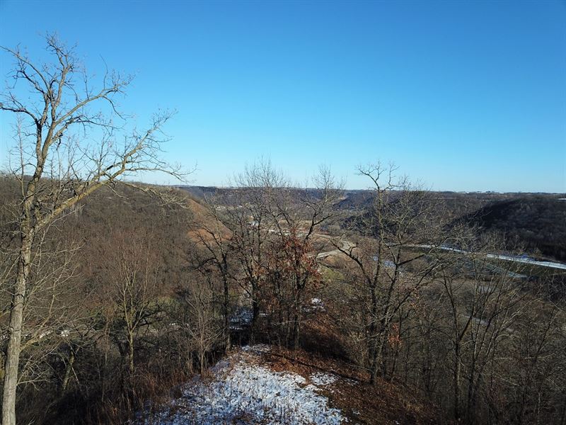 23 Acres Winona County, MN : Winona : Winona County : Minnesota