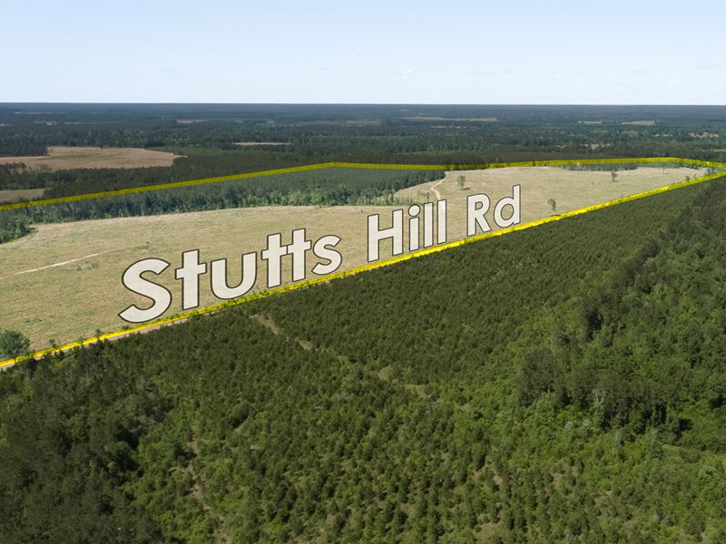 11 Acres T-6 Highland Hills 2 : Livingston : Polk County : Texas