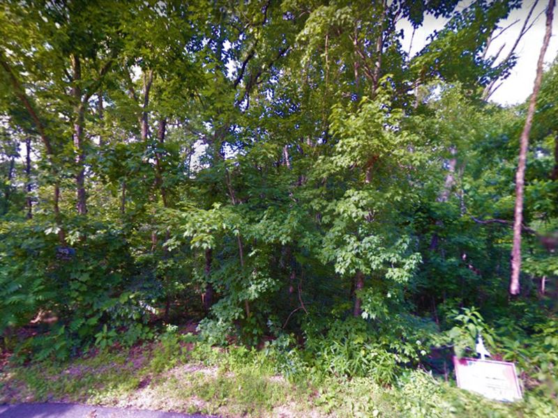 .34 Acre in Bella Vista : Bella Vista : Benton County : Arkansas