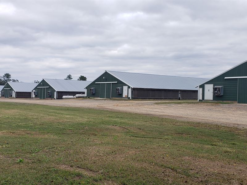 8 House Poultry Broiler Farm : Meigs : Colquitt County : Georgia