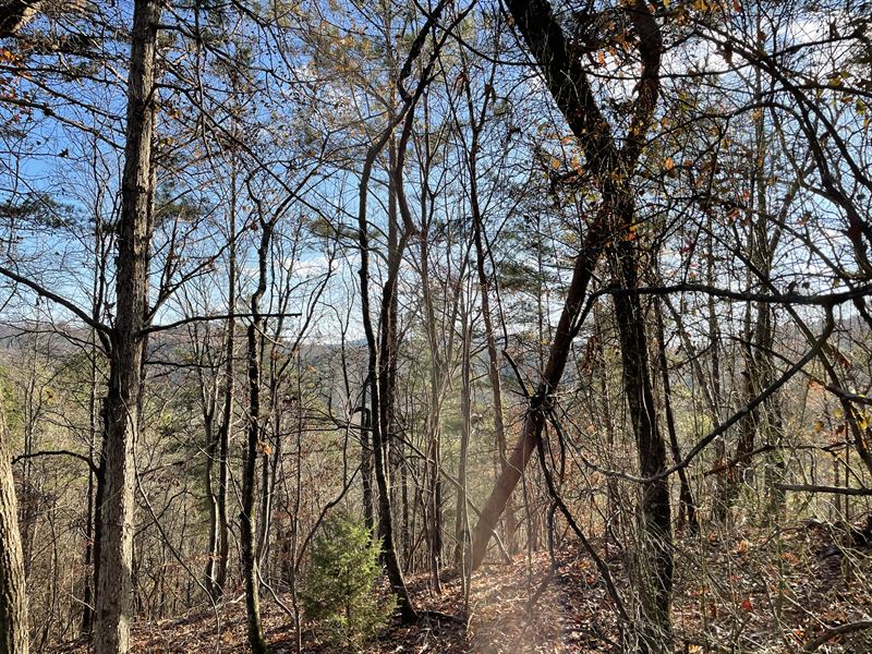 12.4 +/- Ac, Talking Rock, Georgia : Talking Rock : Pickens County : Georgia