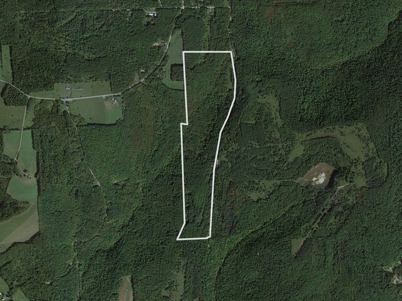 Southern Tier Hunting Paradise : Richford : Tioga County : New York
