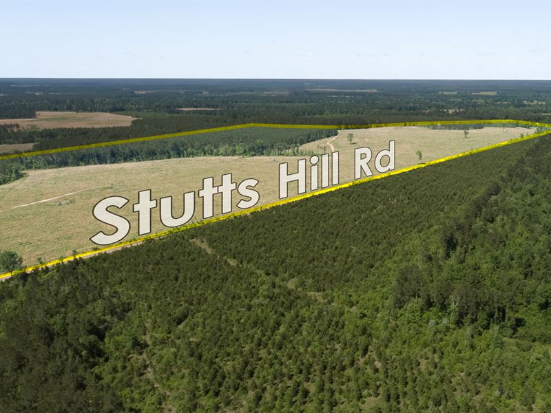 11 Acres T-8 Highland Hills 2 : Livingston : Polk County : Texas