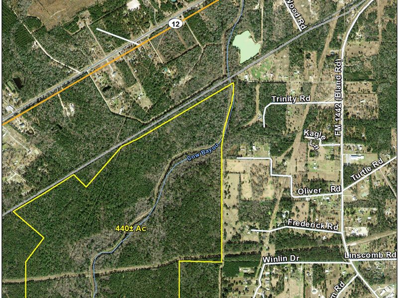 440 Acres Cow Bayou Land for Sale in Mauriceville, Orange County