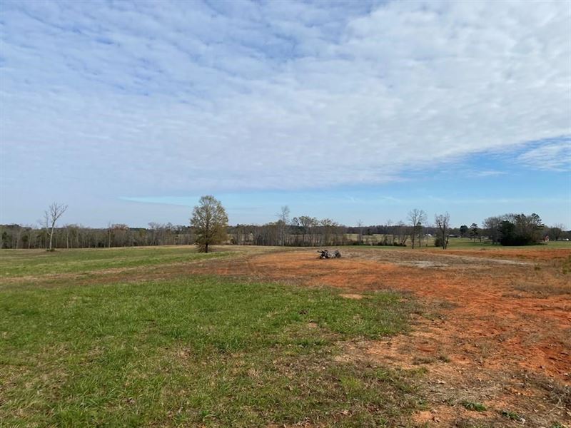 28 Acres Cleared Minutes to Buggs : Buffalo Junction : Mecklenburg County : Virginia