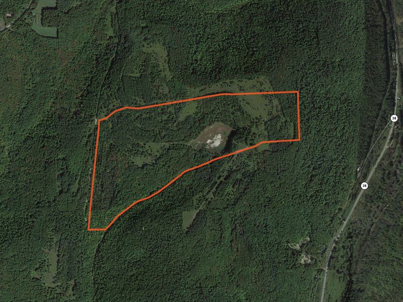 Double Road Frontage and Woods : Richford : Tioga County : New York