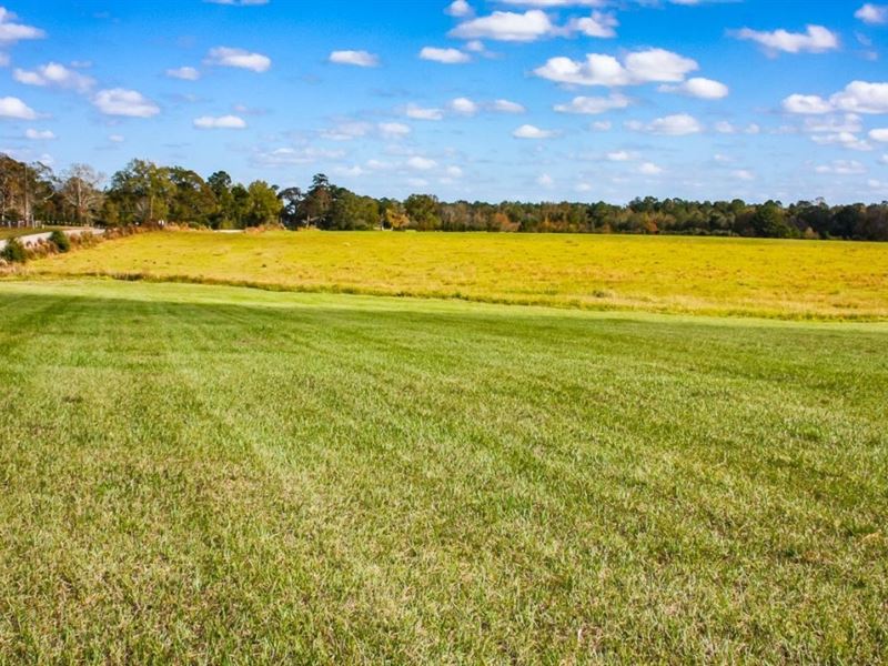 Prime Land, Pasture 20 Ac, Paved : Amite City : Tangipahoa Parish : Louisiana