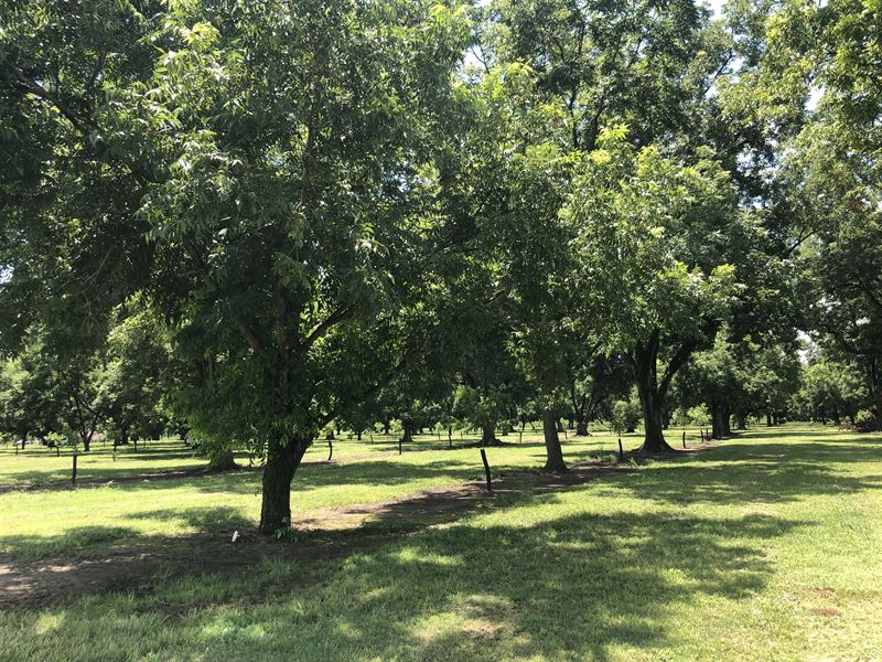 Miami Valley Orchards : Fort Valley : Peach County : Georgia