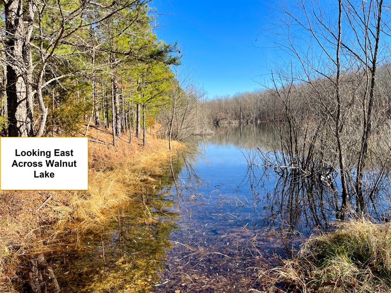 3.13 Acre Rural Escape : Annapolis : Iron County : Missouri