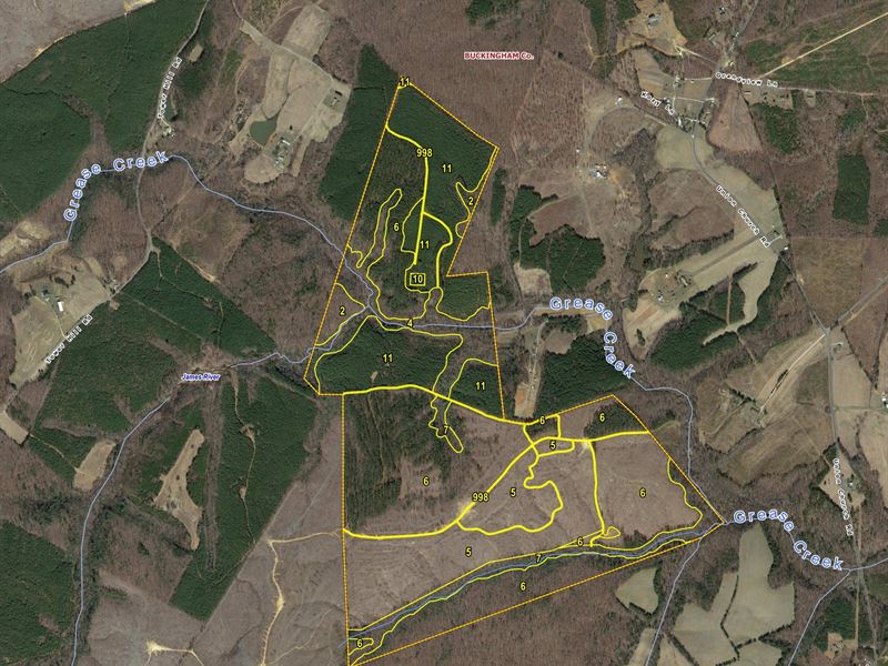 Burruss-Wright Timberlands : Gladstone : Buckingham County : Virginia