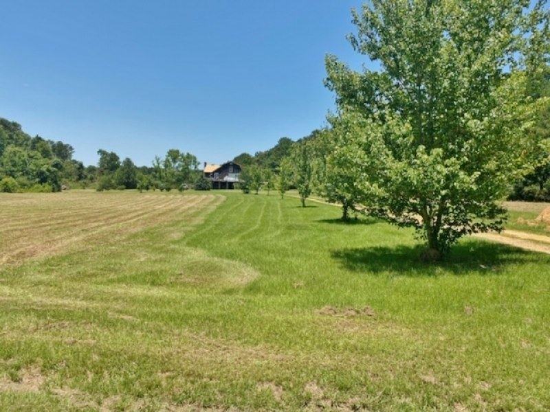 Cabin Style Home and 33.62 Acres : Bogue Chitto : Lincoln County : Mississippi