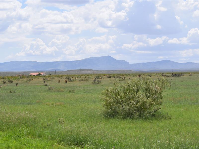 Jornado Ranch : Truth Or Consequences : Sierra County : New Mexico