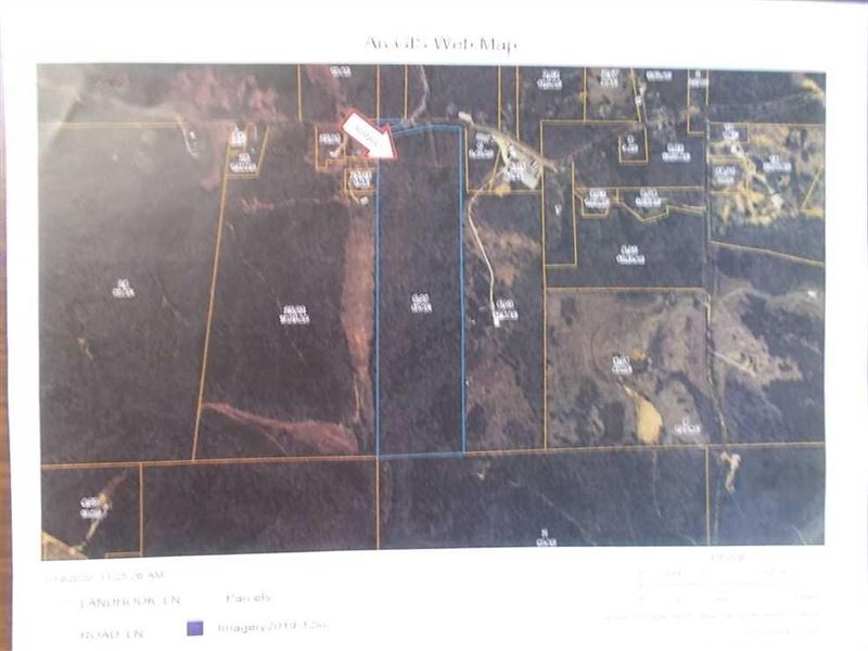 40 Pristine Acres with Mixed Hardwo : Pontotoc : Pontotoc County : Mississippi