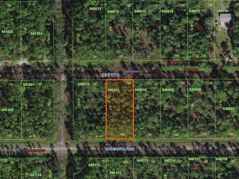 Golf Course Community,.50 Vacant : Indian Lake Estates : Polk County : Florida