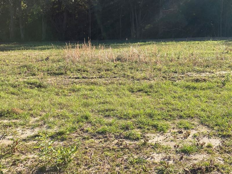 Land in Houston County, Alabama : Cowarts : Houston County : Alabama
