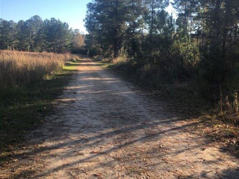 40 Acre Farm : Washington : Wilkes County : Georgia