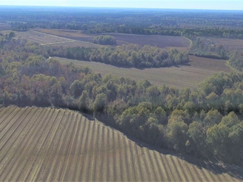 Beautiful Farm and Hunting Retreat : Sandersville : Washington County : Georgia